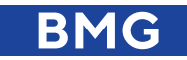 Коммерческие автомобили BMG в лизинг от 0,01% или до 48 месяцев
